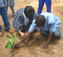 ��˂̖T�ɋL�O�̐A��