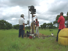 �T�o���i�Ɍ@��