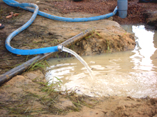 �Y��Ȑ����o�܂���